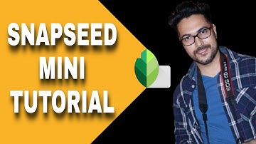 Snapseed mini tutorial   "brush tool "