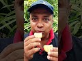 ASMR BISCUIT CRUNCH👂#asmr #biscuit #mukbang