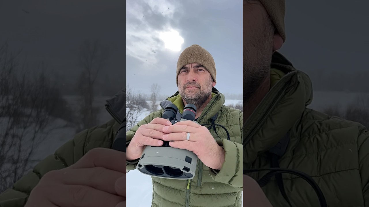 Kite Optics APC Stabilized 18X50 ED Image Stabilized Binoculars