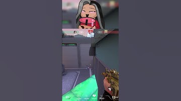 This is WHY You USE Sage Wall