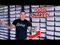 I Have 1000 Snakes In My House!!