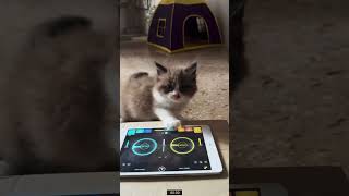 Download Lagu Masdo the dj MP3