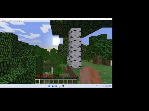 Minecraft Java Edition Beta 1.8.1 All Logs RSG 12.733 [WR]