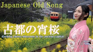 Japanese Old Song 🎵Sakura Sakura etc. / Local Railway  in Spring / Mami Goto (Vo)