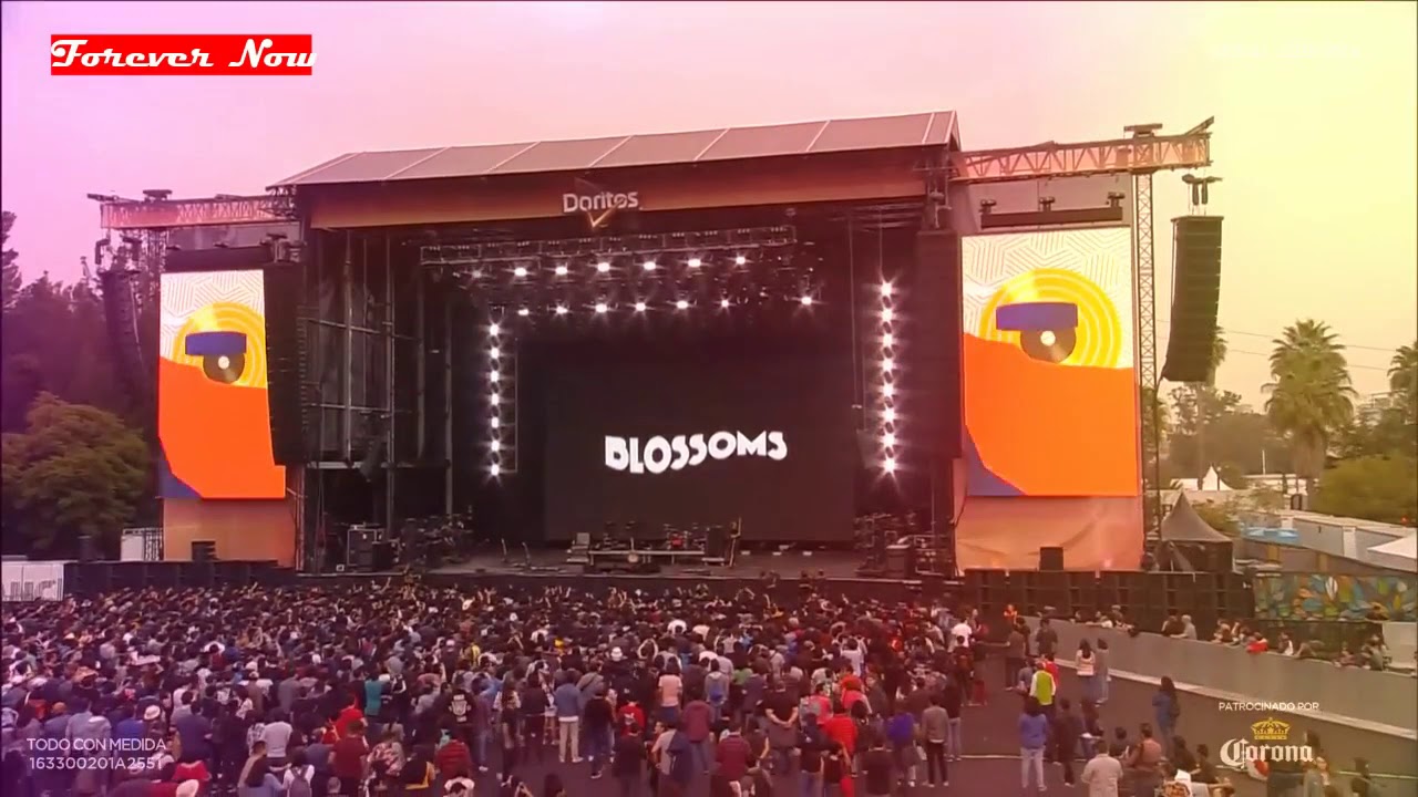 Blossoms - At Most A Kiss live in Mexico City  CC19