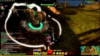 Guild Wars 2 - Goldseller botting + multi-boxing?