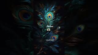 Mayilrage 🦚💞 whatsapp status video song 🎧 love status tamil ❤ lyrics status video tamil