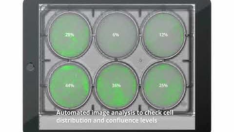 Confluency Software Module for the Omni imaging systems | Axion BioSystems