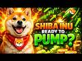 Shiba inu coin price prediction May 25 2026 | 시바이 누 코인 | 시바견 |Livedaytrader
