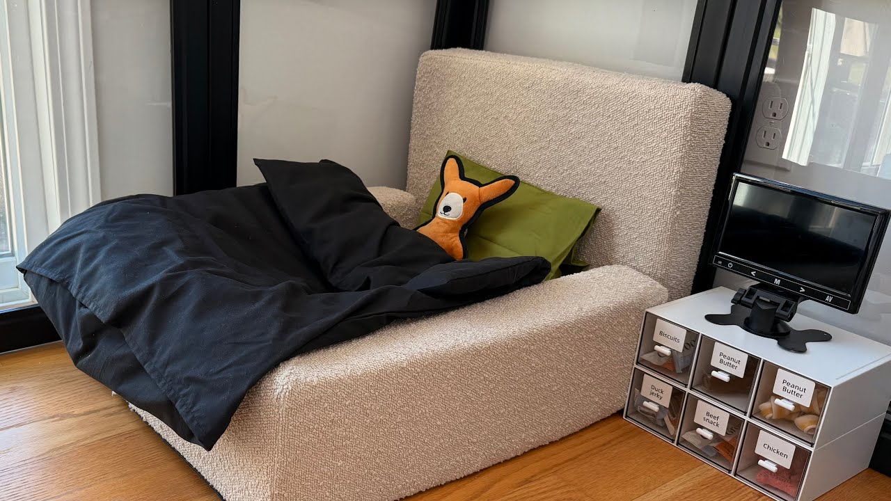 Puppy’s apartment setup!