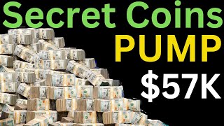 Secret Coin PUMP 57K Profit 🤣 GamerCoin DFI.money UniLayer CryptoTycoon SoonVerse ritestream #btc