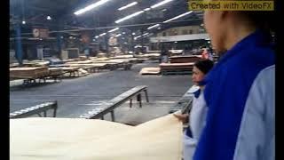 kerja 12 jam berdiri terus || beginilah kerja di pabrik/kilang plywood malaysia