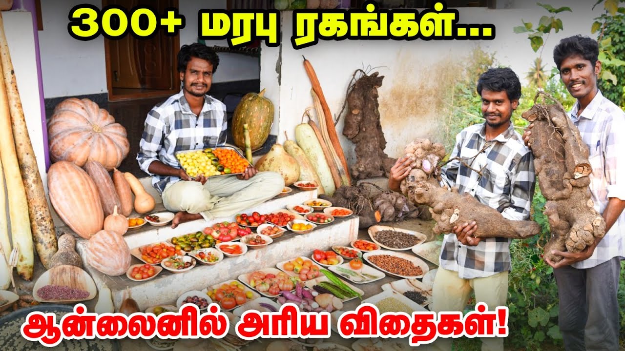 காய்கறியில் இவ்வளவு ரகங்களா 😲 மரபு ரக விதைகள் சேகரிப்பில் அசத்தும் இளைஞர் | Native Seeds