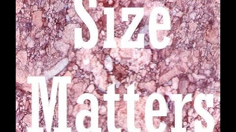 #SizeMatters Pan That Palette 2022 Intro