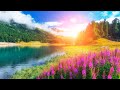 Beautiful Relaxing Music for Stress Relief ~ Calming Music ~ Sleep Music ~ Study Music