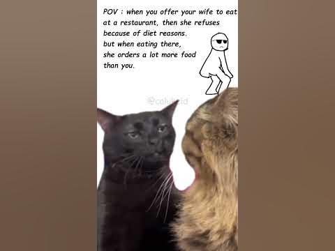 Cat Zoning Out meme #memes #animation - YouTube