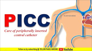 Peripherally inserted central catheter | Care of  PICC Line