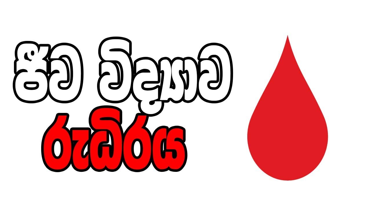 sinhala science lesson,Rudiraya Blood ( Vision talk)රුධිර පද්ධතිය