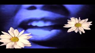 Primal Scream -  Don't Fight It, Feel It (Full Video)