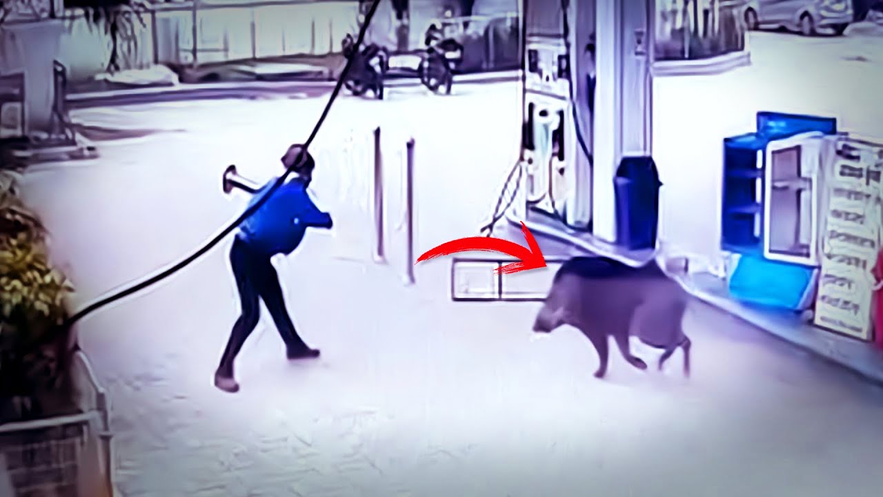 لا يصدق! انظروا ما التقطته كاميرات المراقبة من أحداث غريبة ومثيرة للجدل في الحياة الواقعية! الحلقة 5