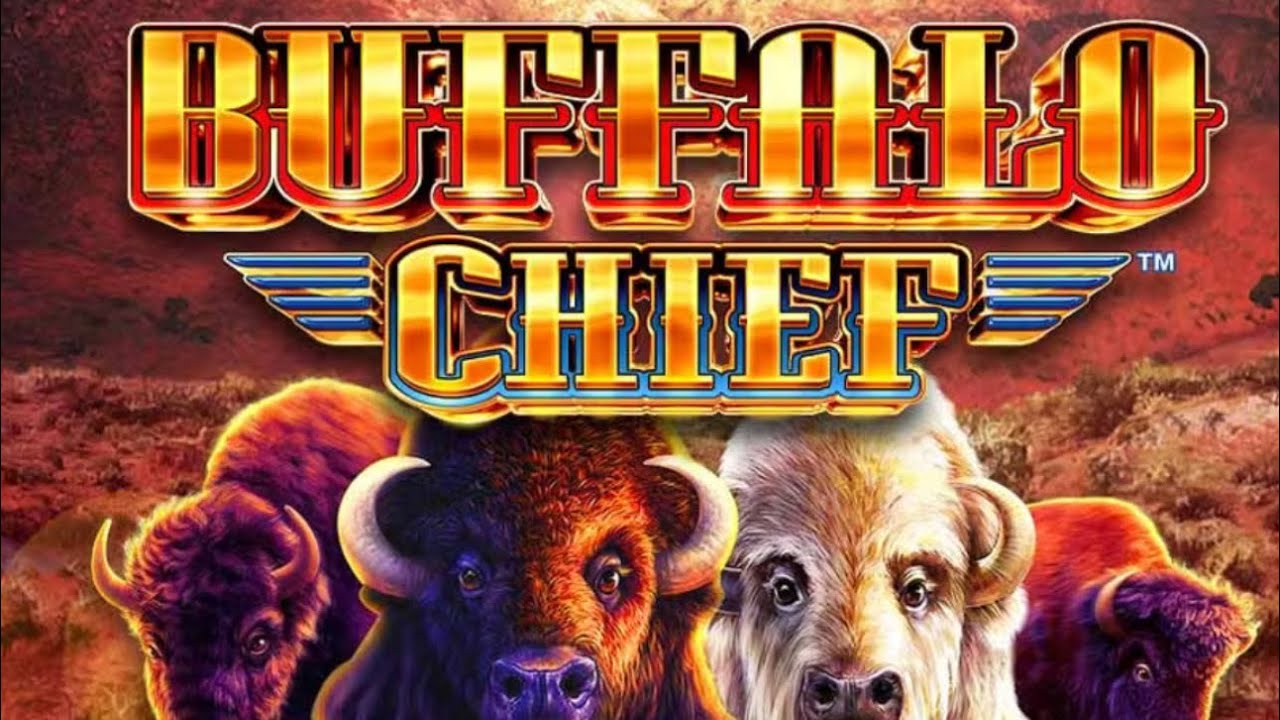 Buffalo Chief  slot machine bonus! Illinois slot machines! Max bet of $3.00 big win! Coin bonuses