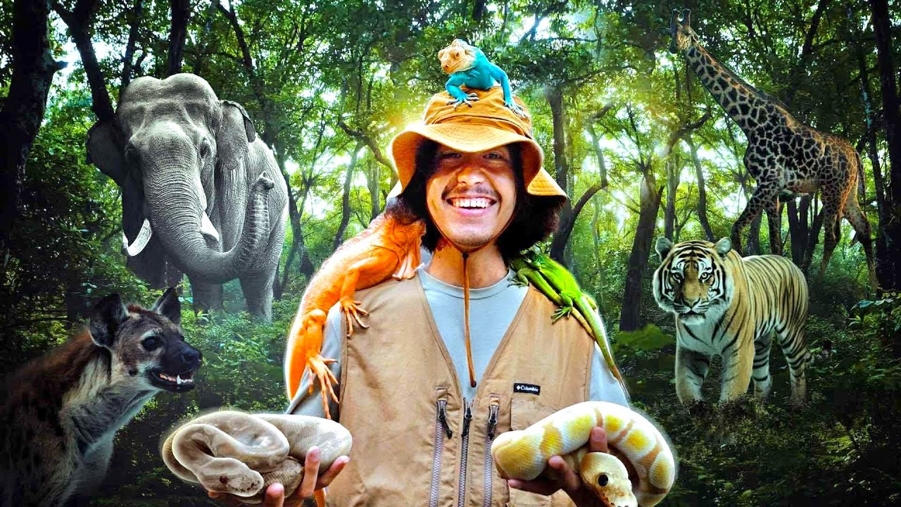 คืนล่าป่า! ส่องสัตว์กลางคืนในเชียงใหม่ไนท์ซาฟารี... [ โจโฉ ]