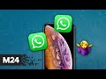 WhatsApp перестанет работать на некоторых смартфонах с 1 января – СМИ - Москва 24