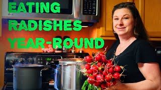 Canning Radishes (Honey Pickled Radish Recipe)
