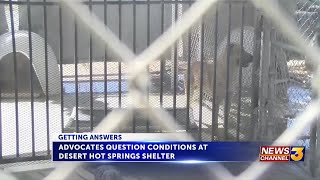 Concerns grow over conditions at Desert Hot Springs animal shelter