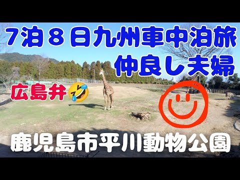 仲良し夫婦7泊8日九州車中泊旅🚙鹿児島突入～😆🙌平川動物公園大好きになったぞ～🦒🐻‍❄️🐨(鹿児島編)