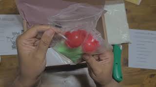 LETS GO Unboxing Sample STEM2home Explore Box