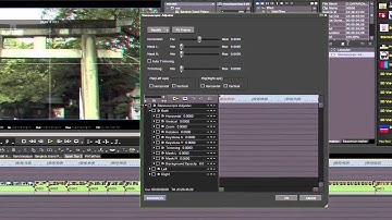 3.  Preparing Your 3D Clips in EDIUS 7.