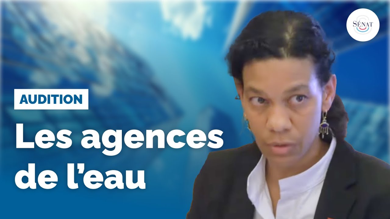 Agences de l'État : les agences de l'eau