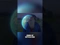 Will Society Survive? Optimistic Vision of Humanity's Future! #billymeier