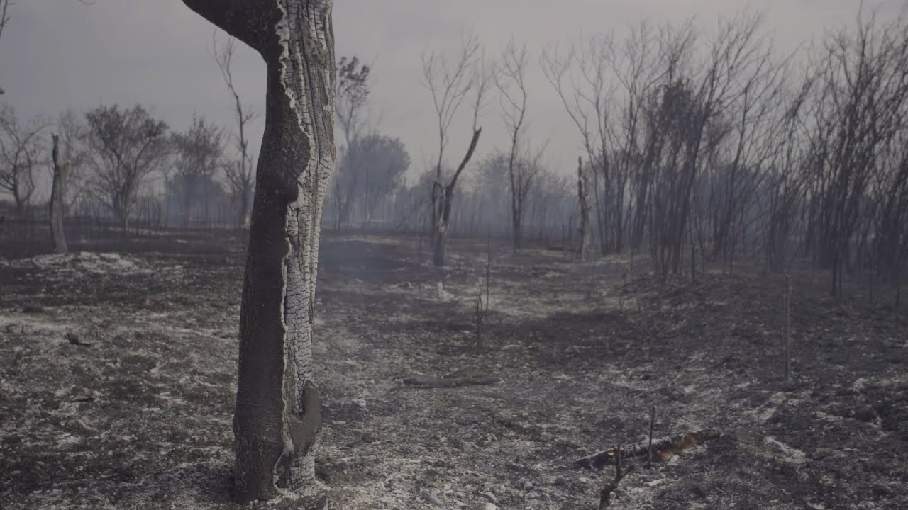 What Caused the Dixie Fire to Start and What Happened There?