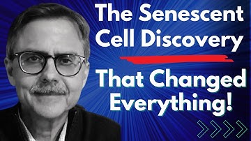The Senescent Cell Discovery That Changed Everything | Dr Sundeep Khosla