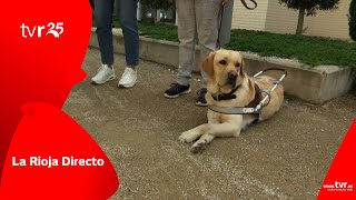 LA RIOJA DIRECTO 26:04:23 1 BLOQUE