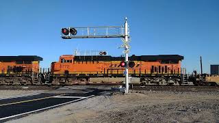 WB BNSF Port Stack/Domestic Intermodal/Empty Spine Cars Train In Hodge Ca! #bigbossrailfanner