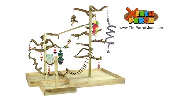 XERCH PERCH: The Last Parrot Play Stand You Will Ever Need