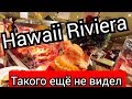 Хургада 2020 Отель 5* с уклоном на питание Hawaii Riviera Aqua Park Resort