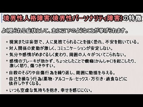 境界性人格障害の特徴　※概要欄を見て