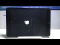 Сброс настроек iPad Mini 2 до заводских без удаления личных данных и приложений