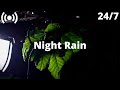 Night Rain Sounds for Sleep & Insomnia | Fall Asleep FAST w/ Cozy Rain & Thunder Sounds: ASMR Nature