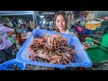 Tiger crab buying from seafood market | Seafood cooking | Seafood eating