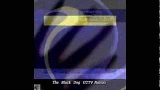 The Black  Dog  CCTV Nation