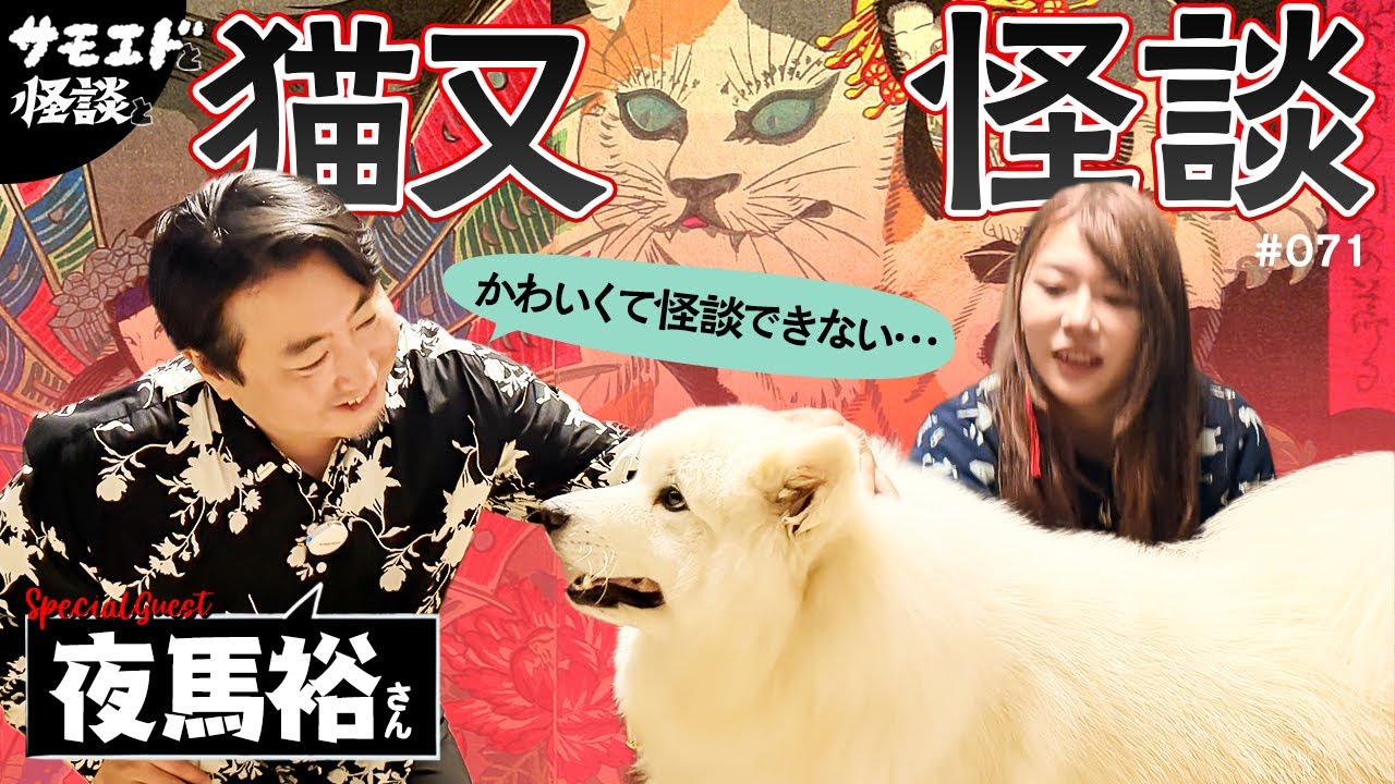 【夜馬裕さんコラボ最終章！】猫又！猫娘！忠猫！な猫怪談！#071