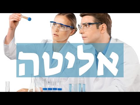 וִידֵאוֹ: מהי ליטה