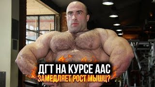 Is It Time to Talk More About аралия бодибилдинг?