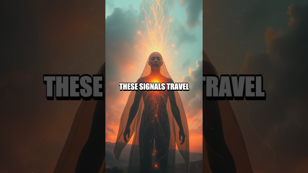 The Hidden Conversation Between Your Gut and Brain