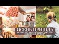 ДЕЛАЮ ЭТО КАЖДЫЕ ВЫХОДНЫЕ, ДЛЯ ПРОДУКТИВНОЙ НЕДЕЛИ БЕЗ СТРЕССА: ЗАГОТОВКИ В МОРОЗИЛКУ